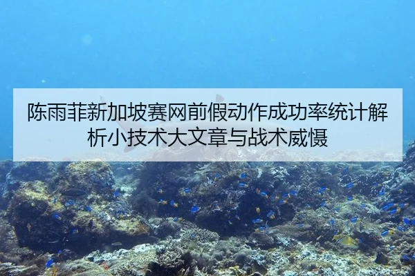 陈雨菲新加坡赛网前假动作成功率统计解析小技术大文章与战术威慑