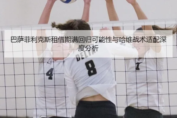 ba-sa-fei-li-ke-si-zu-jie-qi-man-hui-gui-ke-neng-xing-yu-ha-wei-zhan-shu-shi-pei-shen-du-fen-xi-3-888.jpg