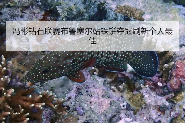 feng-bin-zuan-shi-lian-sai-bu-lu-sai-er-zhan-tie-bing-duo-guan-shua-xin-ge-ren-zui-jia-2-271.jpg