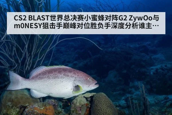 CS2 BLAST世界总决赛小蜜蜂对阵G2 ZywOo与m0NESY狙击手巅峰对位胜负手深度分析谁主沉浮