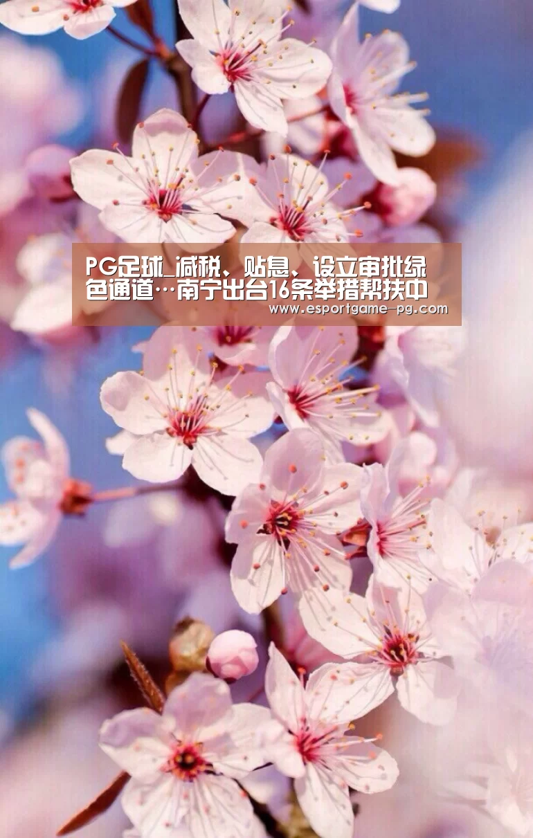 PG足球_减税、贴息、设立审批绿色通道…南宁出台16条举措帮扶中小企业(图2) PG电子