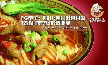 PG足球