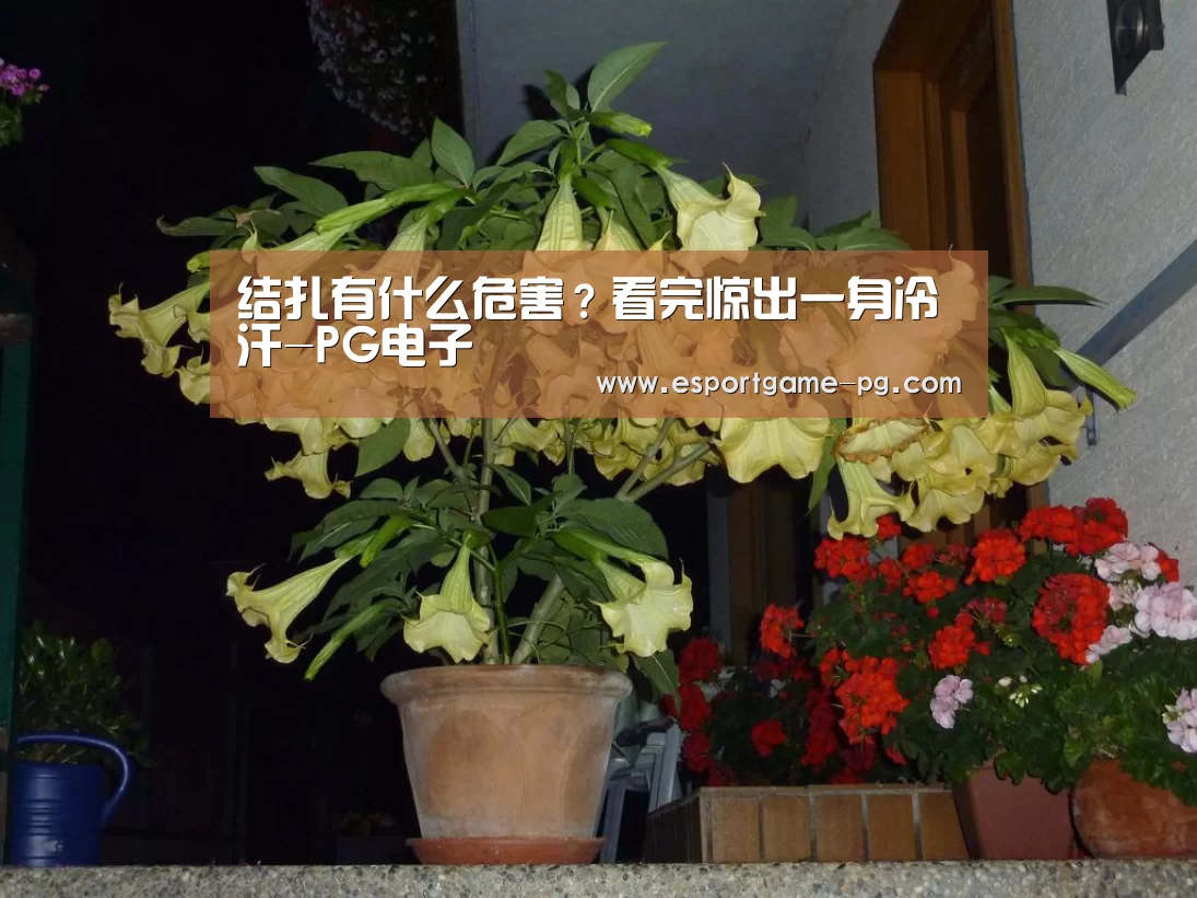 结扎有什么危害？看完惊出一身冷汗-PG电子